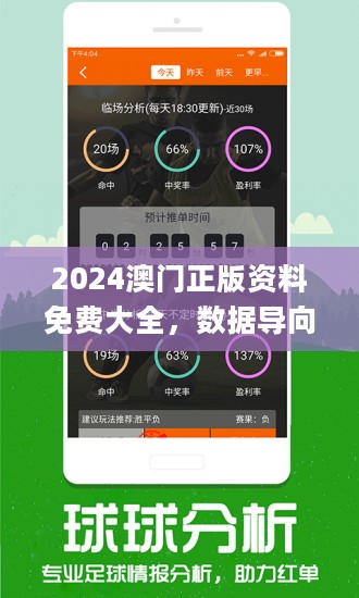 2025新澳门精准正版免费,详细解答、解释与落实